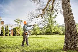 Best Weed Control  in Arcola, VA