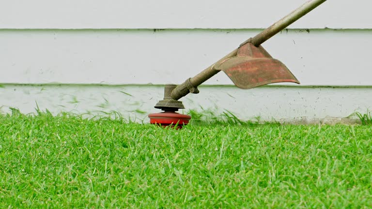Best Lawn Renovation and Restoration  in Arcola, VA